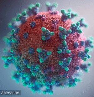 How to Survive during this Corona Pandemic